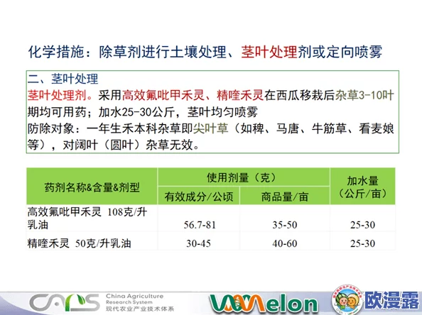 51cg今日大瓜必吃大瓜：深度解析当下热门话题与社会热点事件的背后真相与影响