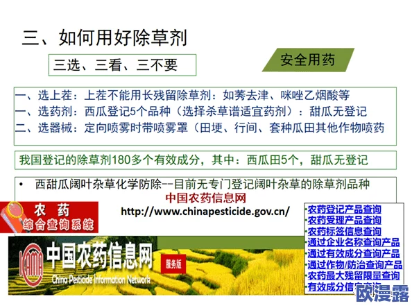 51cg今日大瓜必吃大瓜：深度解析当下热门话题与社会热点事件的背后真相与影响