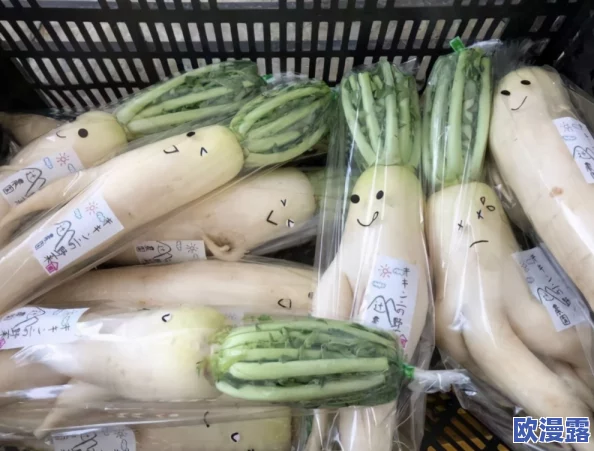 拨萝卜做钢筋：网友热议这一奇特现象，认为创意与实用性并存，引发了对传统工艺的深思与讨论