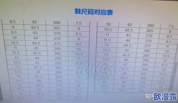 国产尺码和欧洲尺码表对照:了解不同国家服装尺码的差异与选择指南,助你轻松购物无忧 国产尺码和欧洲尺码表对照:了解不同国家服装尺码的差异与选择指南,助你轻松购物无忧