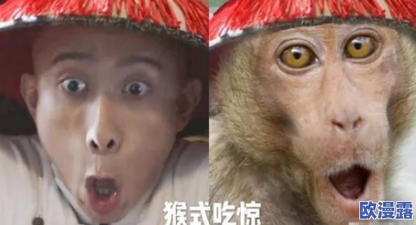 二人生猴子全程不盖被子照片，竟引发网友热议，背后隐藏着不为人知的故事！