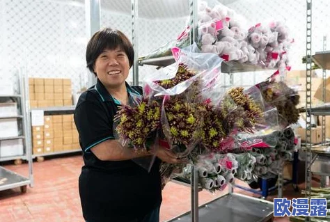 四季物语微信小游戏无限体力，震撼上线！玩家欢呼不断，畅享无限乐趣与挑战！