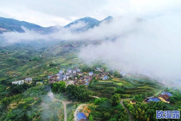 大巴车让我难忘的美好时光：回忆与旅行中的点滴感悟与人生哲理分享