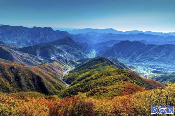 精品一：最新动态展示了品牌在产品创新和市场拓展方面的积极进展，吸引了众多消费者的关注与喜爱