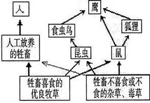 一起草17.c:探讨可持续发展与草原生态保护的重要性以及面临的挑战与解决方案 一起草17.c:探讨可持续发展与草原生态保护的重要性以及面临的挑战与解决方案