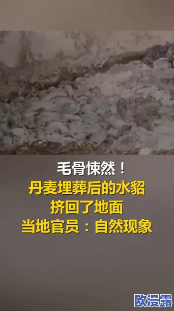 BWBWBWBWBW毛黑:探讨这一现象背后的文化意义与社会影响,揭示其对当代年轻人的启示 BWBWBWBWBW毛黑:探讨这一现象背后的文化意义与社会影响,揭示其对当代年轻人的启示