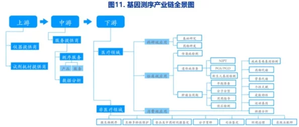 揭秘黑料社区:揭示其背后的运作机制与影响力,深度分析用户行为及内容传播的现状与未来发展趋势 揭秘黑料社区:揭示其背后的运作机制与影响力,深度分析用户行为及内容传播的现状与未来发展趋势