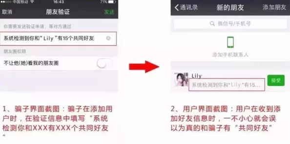 菲律宾娇小小小泬XXX：最新动态与发展，揭示其在国际舞台上的影响力与未来潜力