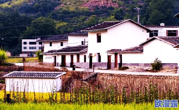 燕姐放羊老人户外：探讨乡村振兴背景下的传统牧羊文化与现代生活方式的融合研究