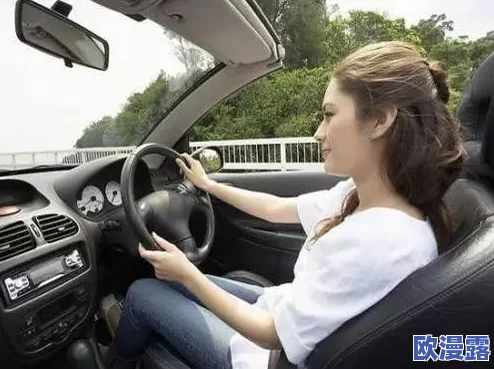 男女车文:性别视角下的汽车文化与消费行为研究 男女车文:性别视角下的汽车文化与消费行为研究