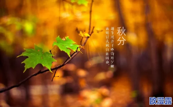 女儿小舟和秋分幸福家庭背景：意外发现，隐藏在幸福背后的不为人知的秘密震惊众人！