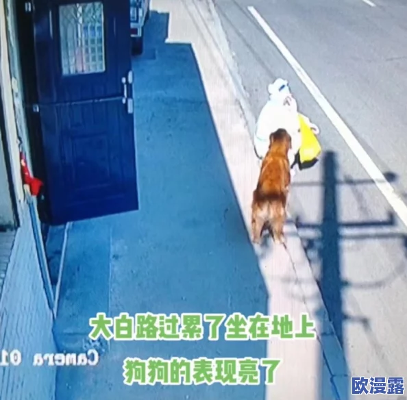 县城市场旱厕大白屁股偷拍:知情人士称泄露视频或涉及当地政府高官隐私 县城市场旱厕大白屁股偷拍:知情人士称泄露视频或涉及当地政府高官隐私