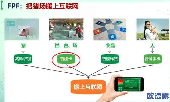 人马畜禽CORPORATION康诺推出全新智能养殖系统,助力现代农业转型升级与可持续发展 人马畜禽CORPORATION康诺推出全新智能养殖系统,助力现代农业转型升级与可持续发展