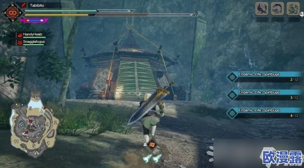 怪物猎人曙光：如何选择最佳的侦查地点以开启冒险之旅