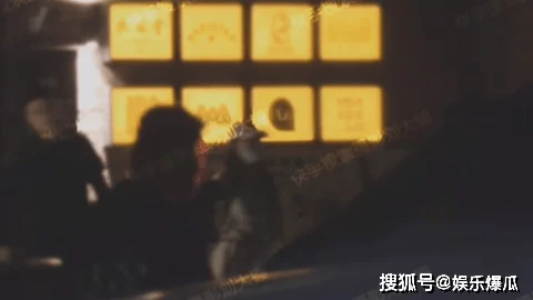 夜夜添夜夜添夜夜摸夜夜摸，震惊！某知名明星被曝深夜私会神秘人士，引发网友热议与猜测！