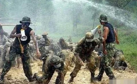 吃特种兵的大黑龙：从军事训练到生存技能的全面解析与实战应用研究
