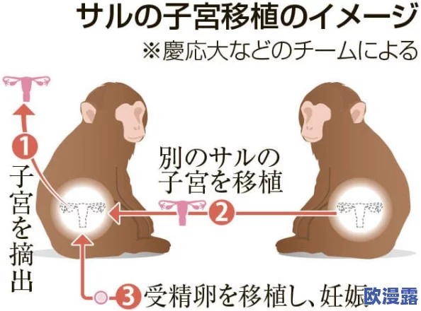 直到你怀孕高h，科学家发现意想不到的因素竟然会影响怀孕几率，震惊众人！