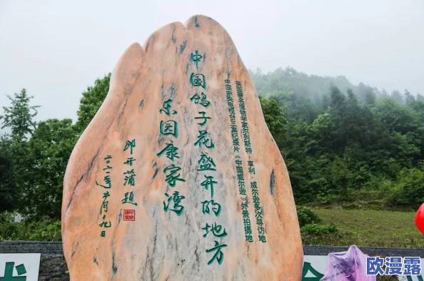 ⅹxx性欧美hd：了解欧美性文化的多样性及其在影视作品中的表现和影响