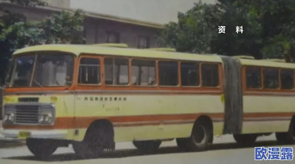 回乡大巴车最后一排：乘客们的故事与情感交织，见证了归属与离别的复杂心境