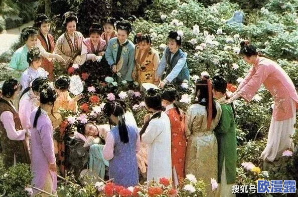 怡红院性事：探讨古典文学中怡红院的角色及其与情感、欲望和社会风俗之间的复杂关系