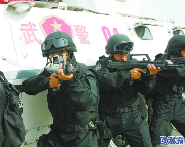 中国ChinaGary武警飞机：揭秘中国武警航空力量的现状与发展历程，展现其在国家安全中的重要作用与未来前景