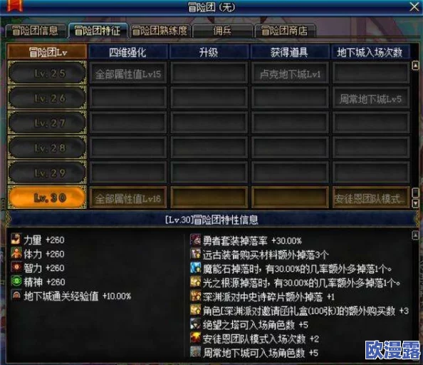 DNF圣骑士角色应优先强化哪些属性以提升战斗力 DNF圣骑士角色应优先强化哪些属性以提升战斗力