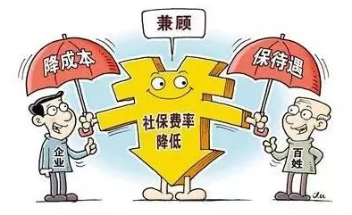 高h猛烈失禁双性：近期社会对性别认同的讨论引发热议，专家呼吁关注心理健康与教育改革