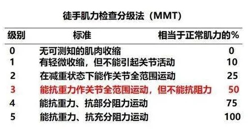 欧美性video高清精品：最新研究显示，年轻人对成人内容的消费习惯正在发生显著变化，引发社会广泛关注与讨论