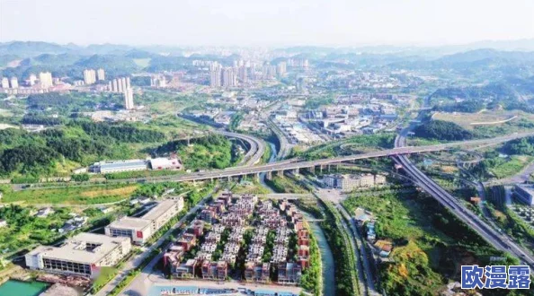 掌中美母1-50:从古至今的文化传承与现代社会中的影响力分析 掌中美母1-50:从古至今的文化传承与现代社会中的影响力分析