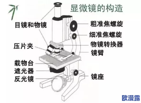 在线观看91精品国产hd：最新影视动态引发热议，网友纷纷讨论影片质量与观影体验！
