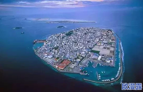两片肥厚的进进出出：全球气候变化加剧，海平面上升对沿海城市的影响愈发显著，引发广泛关注与讨论