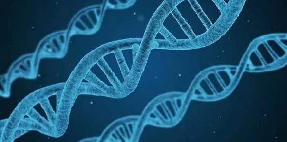 Python人马兽:探讨这一神秘生物在编程与文化中的象征意义及其对现代科技的影响 Python人马兽:探讨这一神秘生物在编程与文化中的象征意义及其对现代科技的影响