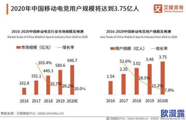 adc确定成年：分析其在电子竞技行业中的影响及未来发展趋势