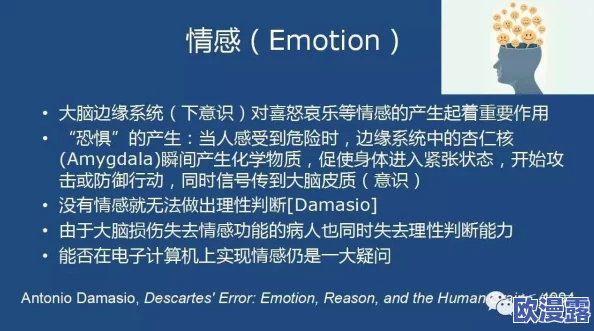 Chinese愉情videos：在当代社会中，这类视频如何影响人们的情感表达与心理健康？
