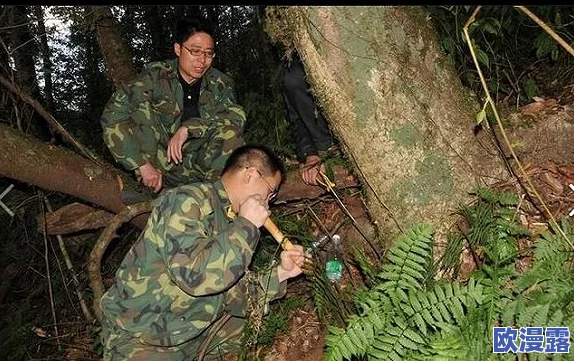 坤巴塞小洞最新动态:科学家发现新物种,揭示生态系统的独特性与重要性 坤巴塞小洞最新动态:科学家发现新物种,揭示生态系统的独特性与重要性
