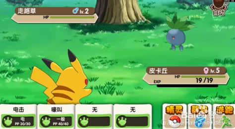 口袋妖怪新世代荣耀竞技：全新玩法细节曝光，引领宠物对战新风潮