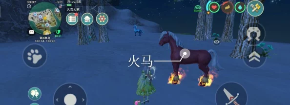创造与魔法青鸟位置及饲料属性全面解析：探索速度与力量的奥秘