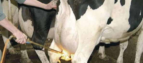 美女被触手榨乳挤奶，惊现奇幻场景引发网友热议与讨论，究竟背后隐藏着怎样的故事？