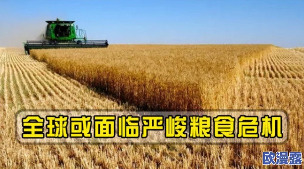 饥饿的阿:在全球粮食危机加剧的背景下,如何应对日益严重的饥饿问题与挑战? 饥饿的阿:在全球粮食危机加剧的背景下,如何应对日益严重的饥饿问题与挑战?