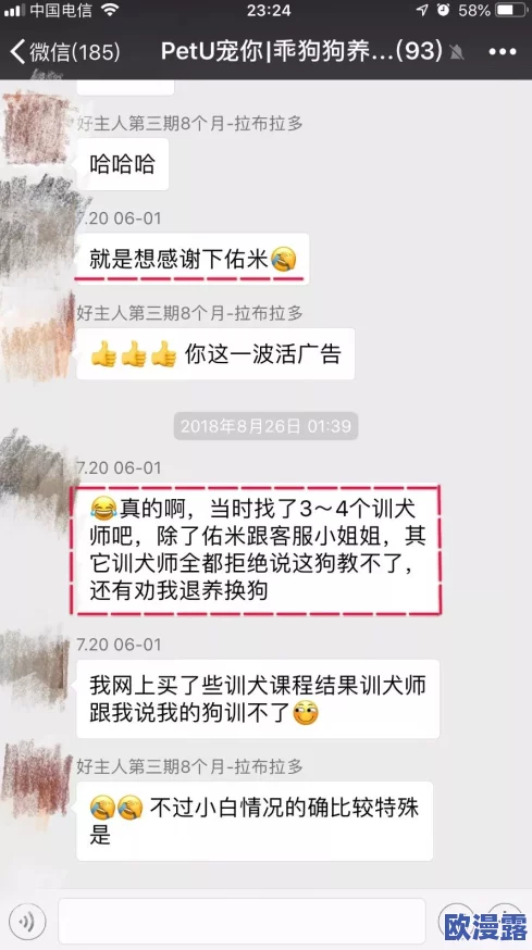 综合伊人久久:全新升级的用户体验与丰富内容引发热议,吸引更多年轻用户关注与参与 综合伊人久久:全新升级的用户体验与丰富内容引发热议,吸引更多年轻用户关注与参与