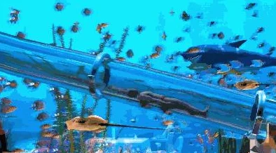 CF手游全新地图水族馆团队战制胜技巧与策略深度分享