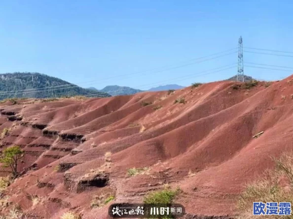嫩草石：新发现揭示其独特的地质形成过程与生态价值，科学家们对其未来保护提出新建议