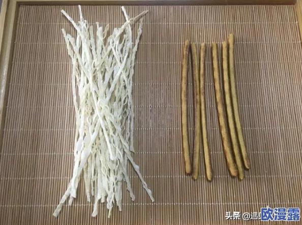 魔力宝贝手游：全面解析宠物培养饼干获取方法与技巧