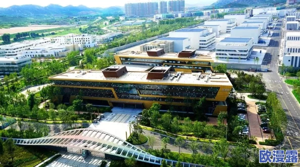 日韩欧美特级毛片：最新动态揭示全球影视市场的变化与发展趋势，观众偏好如何影响内容创作与分发策略