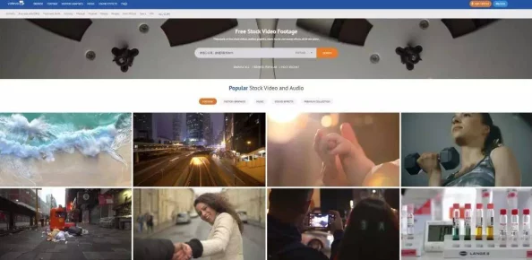 免费成人网站7777视频惊现超高画质内容，网友们纷纷表示无法自拔！