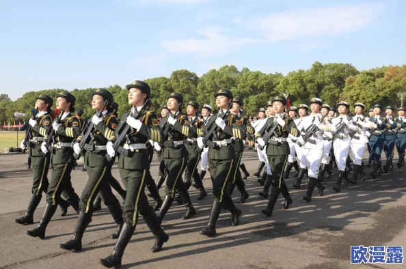 被特种兵c合不拢腿，网友热议：这究竟是怎样的训练方式引发如此反响？