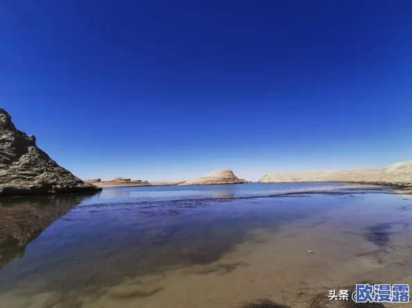 日产无人区未来发展前景：新技术应用与市场需求推动行业转型升级的最新动态分析