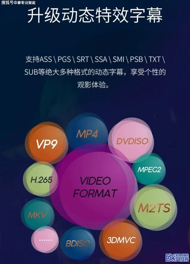 亚洲欧美在线中文字幕不卡:最新动态与用户反馈,提升观看体验的全新策略与技术分析 亚洲欧美在线中文字幕不卡:最新动态与用户反馈,提升观看体验的全新策略与技术分析