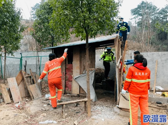 三级-黄-色-网址:最新动态揭示网络安全隐患与防护措施,用户需提高警惕以保护个人信息安全 三级-黄-色-网址:最新动态揭示网络安全隐患与防护措施,用户需提高警惕以保护个人信息安全