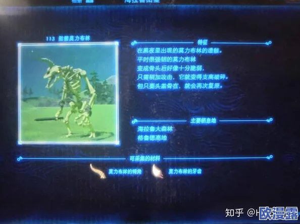 《塞尔达传说:荒野之息》新手玩家必备!快速升级与成长攻略指南 《塞尔达传说:荒野之息》新手玩家必备!快速升级与成长攻略指南